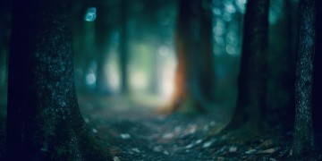 怕的夜难熬究竟是哪首歌？