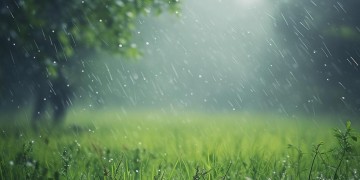 我的所有风里雨里是哪首歌？