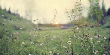 快要过完的春天出自哪首歌?