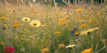 队友快来扶我是哪首歌？