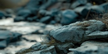 誓言太沉重泪被纵容出自哪首歌?