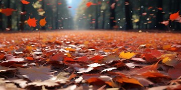 枯叶落十里寒出自哪首歌？