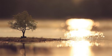 下辈子一定遇见你出自哪首歌？