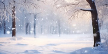 有哪些跟雪有关系的歌曲呢？
