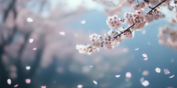 希望你懂我的心酸出自哪首歌?