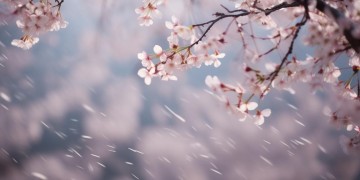 说什么无奈这句歌词出自哪首歌?