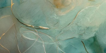 范茹的半生究竟何时问世？