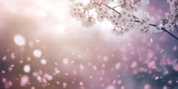 能否到永远是哪首歌的歌词？