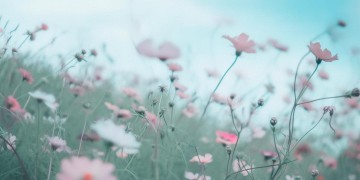 风吹过我的肩是哪首歌？