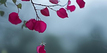 失去最爱的痛究竟是哪首歌?