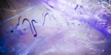 想你的大虫子究竟是什么歌？