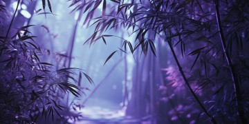 微博昵称紫竹浅歌究竟代表着什么？