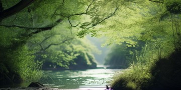 无怨无悔这句歌词出自哪首歌？