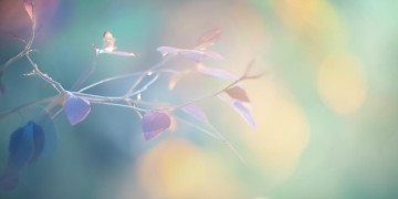 盼你一生的回眸究竟是哪首歌？