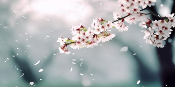 其实离幸福很遥远究竟是哪首歌？