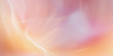 我愿意转身出自哪首歌?