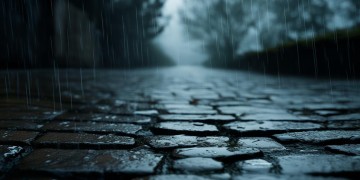 也许是雨下的太冷出自哪首歌?