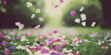 花谢花会开究竟出自哪首歌？