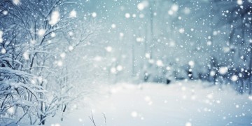 即使寒冷雪花飞出自哪首歌？