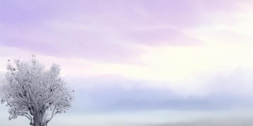 白发望断涯究竟出自哪首歌？