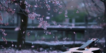 情怨歌究竟属于什么风格的音乐？