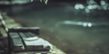 你却拉了别人的手出自哪首歌？