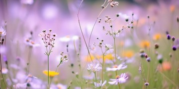 世界上最青涩的歌究竟是什么？