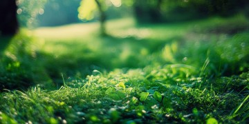 谁会愿意吃我的苦出自哪首歌？