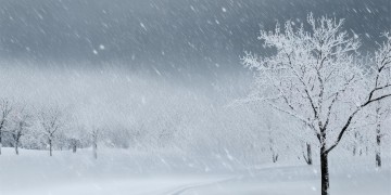 迎着寒风这句粤语歌词出自哪首歌?