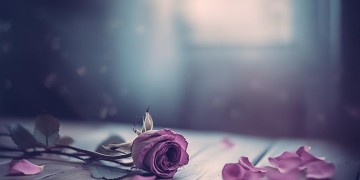 失恋后第一感觉会是哪首歌？