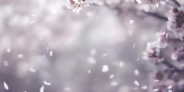 可能我太卑微了出自哪首歌？