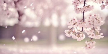 你比谁都相配出自哪首歌？