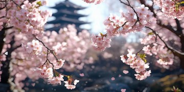 三个字的日文歌叫什么川？