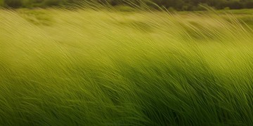 风吹草地出自哪首歌？