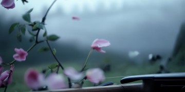 再无归期再无人究竟是哪首歌？