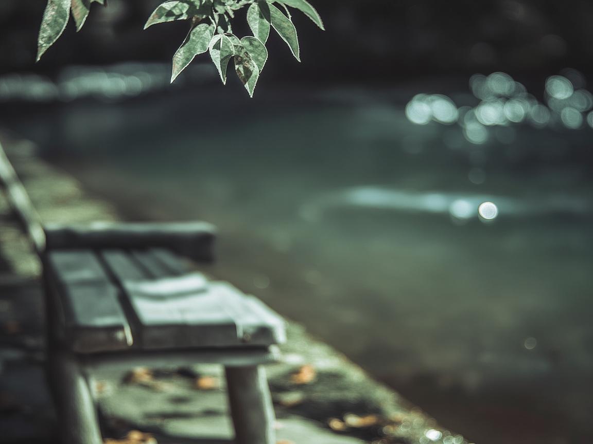 你却拉了别人的手出自哪首歌？