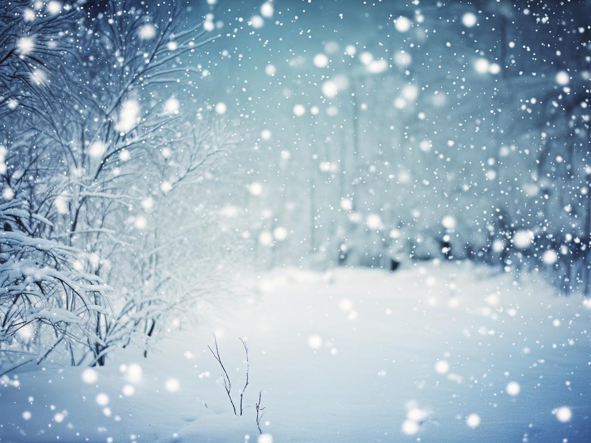 即使寒冷雪花飞出自哪首歌？