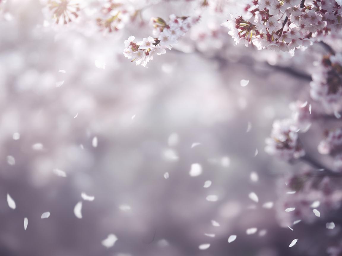 可能我太卑微了出自哪首歌? 可能我太卑微了出自哪首歌?