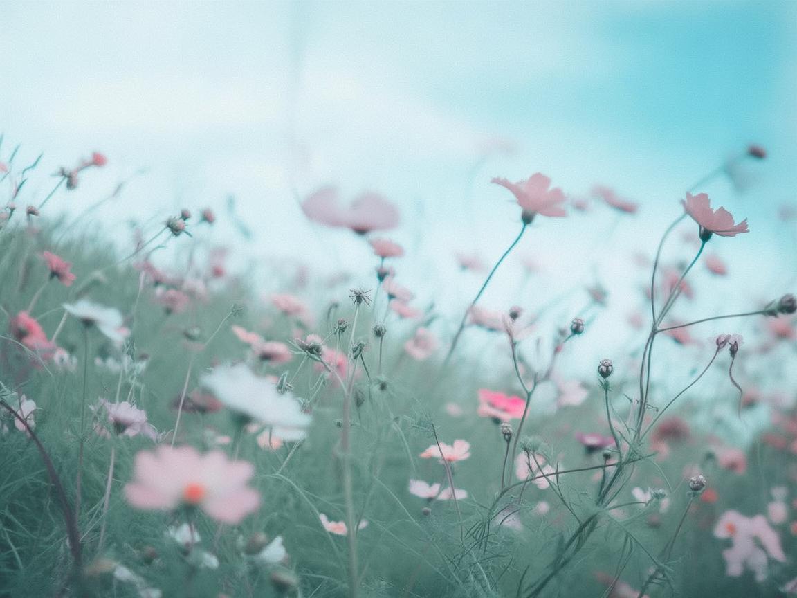 风吹过我的肩是哪首歌? 风吹过我的肩是哪首歌?